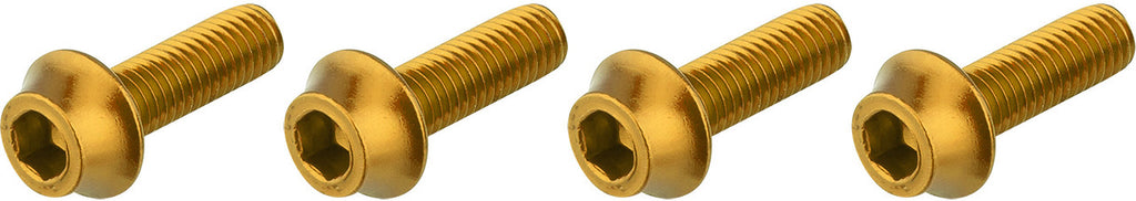  Flaschenhalterschrauben