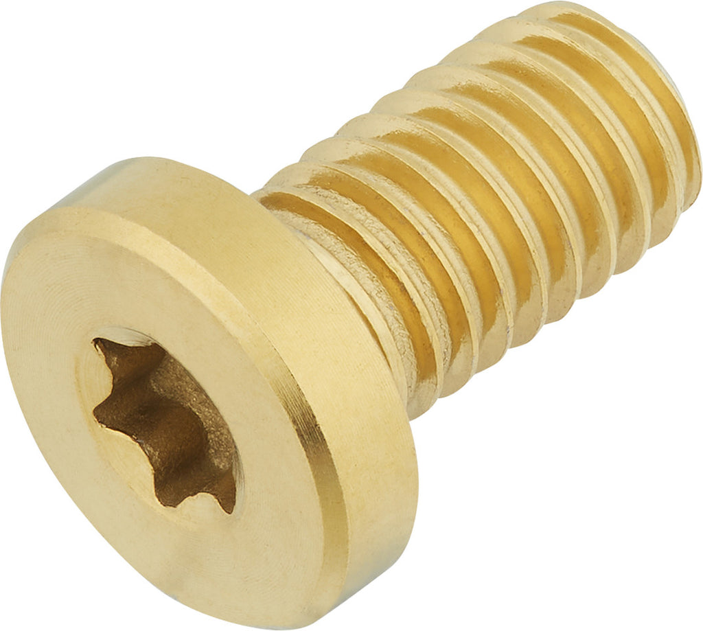  Ti Bolt Titanschraube