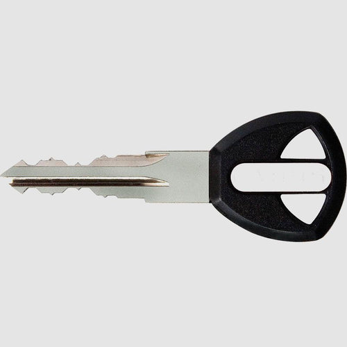  ABUS Kettenschloss Iven Chain 8210