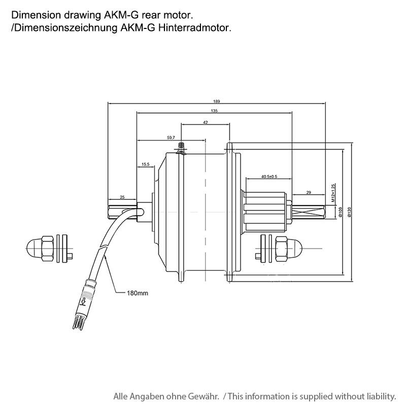 EBS V2 AKM-G Hinterradmotor 36V 250W 36 Speichenlöcher