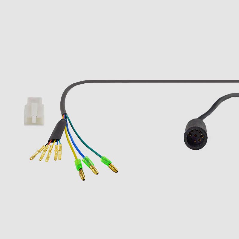  EBS IPS Adapterkabel 9-Pin - Motor, HIGO Auf Rundstift