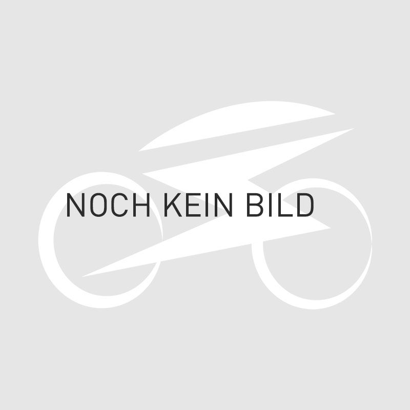  Bafang BPM Hinterradmotor 250W Schraubkranzaufnahme