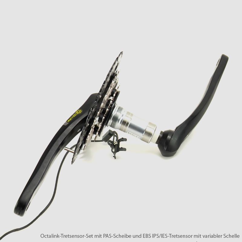  Octalink-Tretsensor-Set