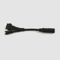  Adapterkabel Cycle Analyst (alt) Mit 6-Pin JST Für 8-Pin Rundstecker