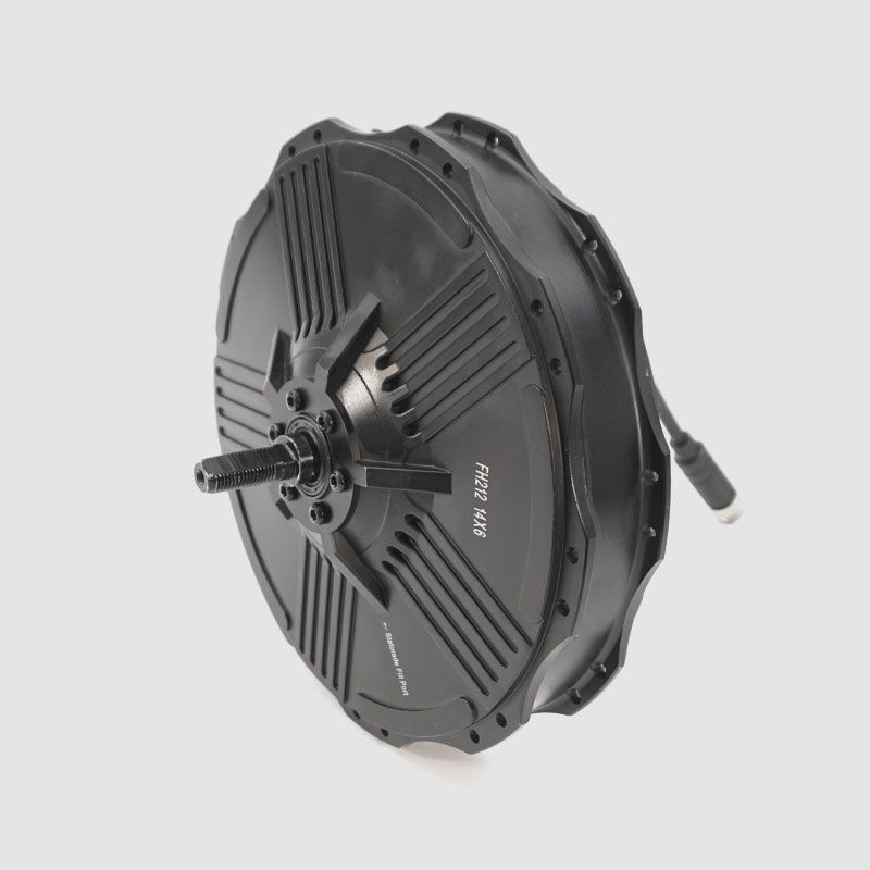  Nine Continent 250W Vorderradmotor 500 U/min An 50V