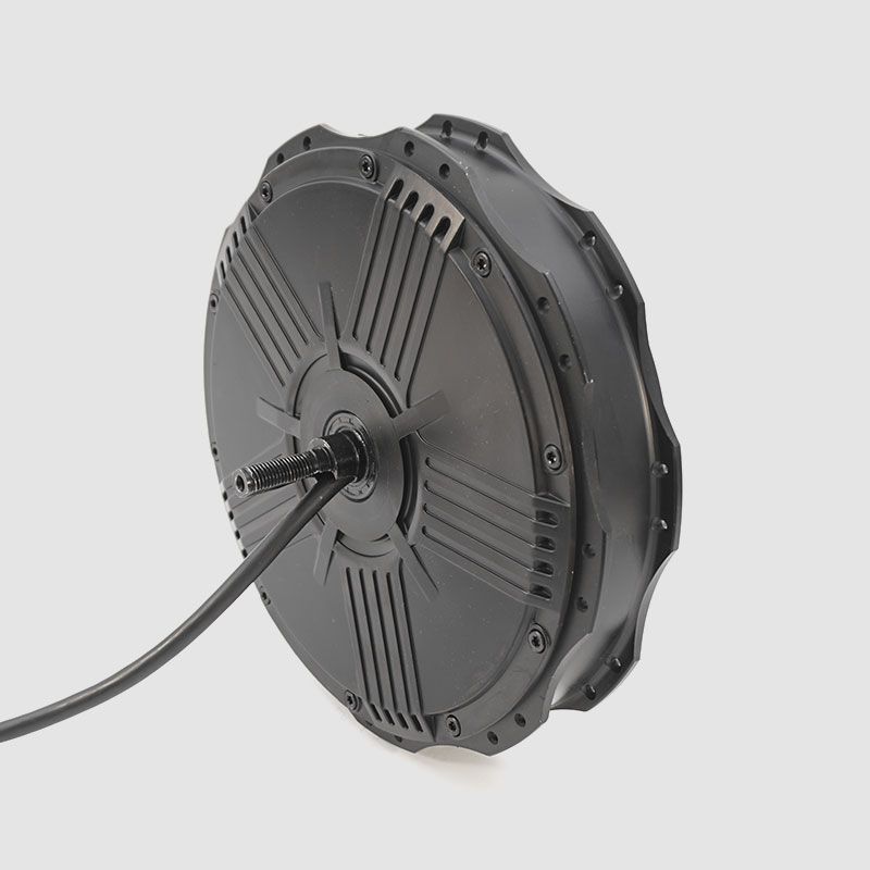  Nine Continent 250W Vorderradmotor 500 U/min An 50V