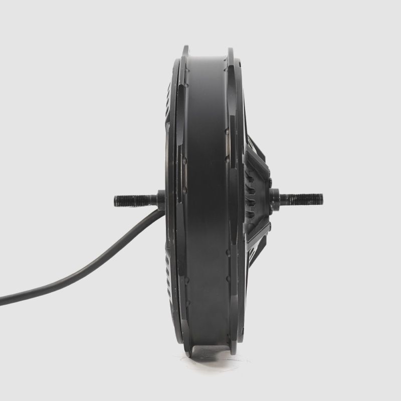  Nine Continent 250W Vorderradmotor 500 U/min An 50V